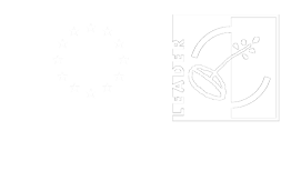 Union Européenne